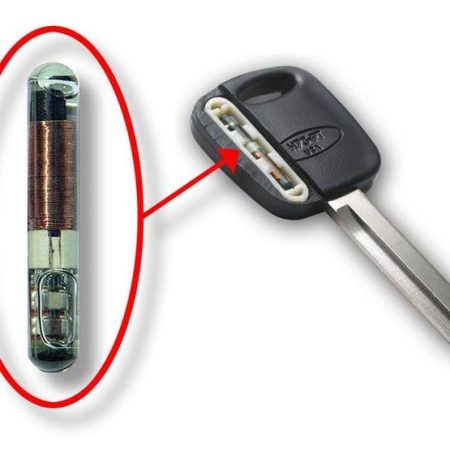 90d1443f-2799-4563-83e9-4a1360a59a55